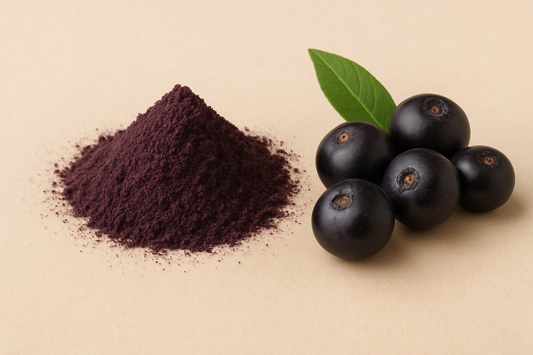 Acai (Euterpe oleracea) Berry Extract